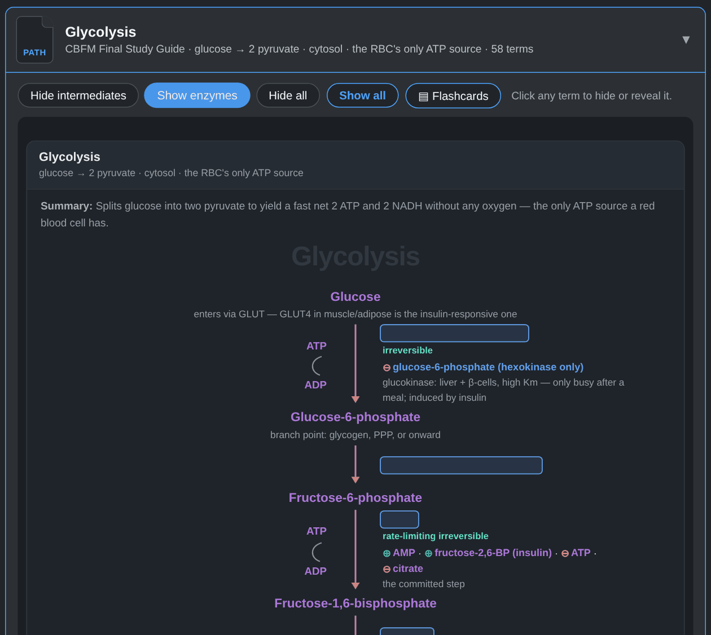 The Pathways page with the glycolysis diagram open, its enzymes hidden behind blank boxes, and buttons to hide intermediates, hide enzymes, show all, and study the diagram as flashcards