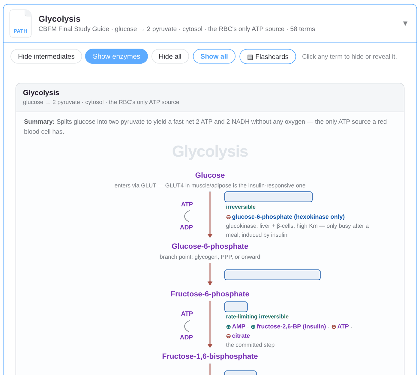 The Pathways page with the glycolysis diagram open, its enzymes hidden behind blank boxes, and buttons to hide intermediates, hide enzymes, show all, and study the diagram as flashcards